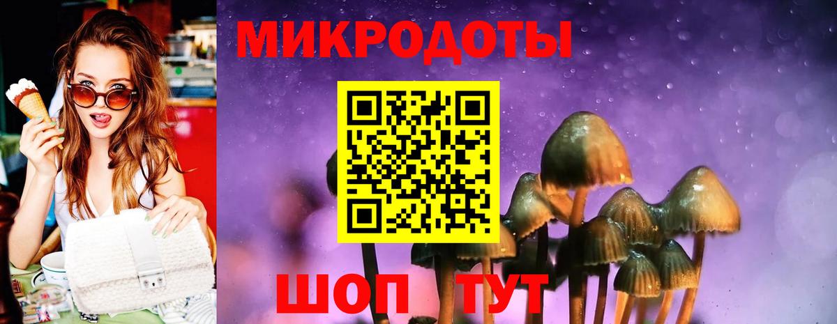 Галлюциногенные грибы Psilocybine cubensis Тулун